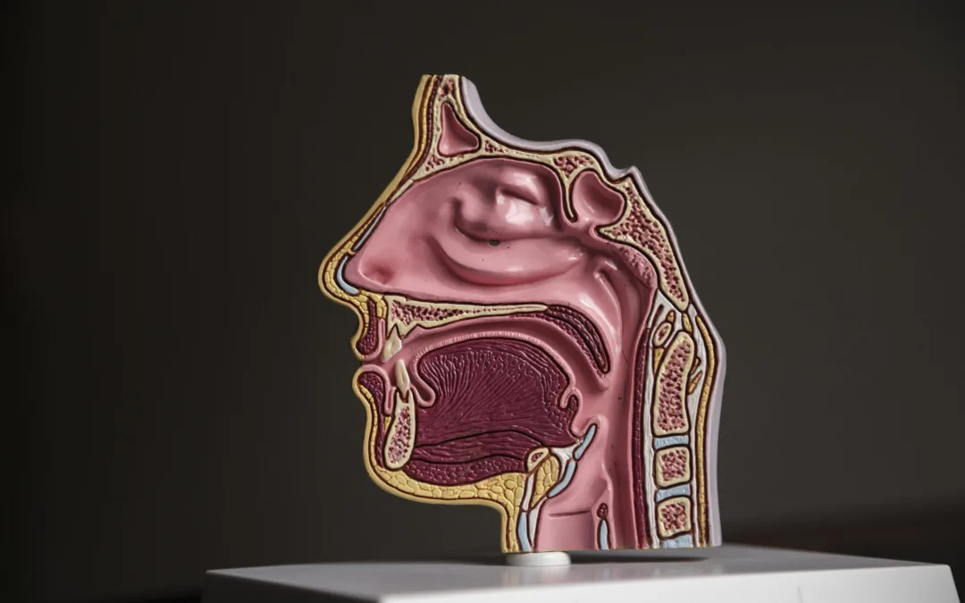Understanding Malignant Tumours of the Larynx: Anatomy, Pathophysiology, and Epidemiology